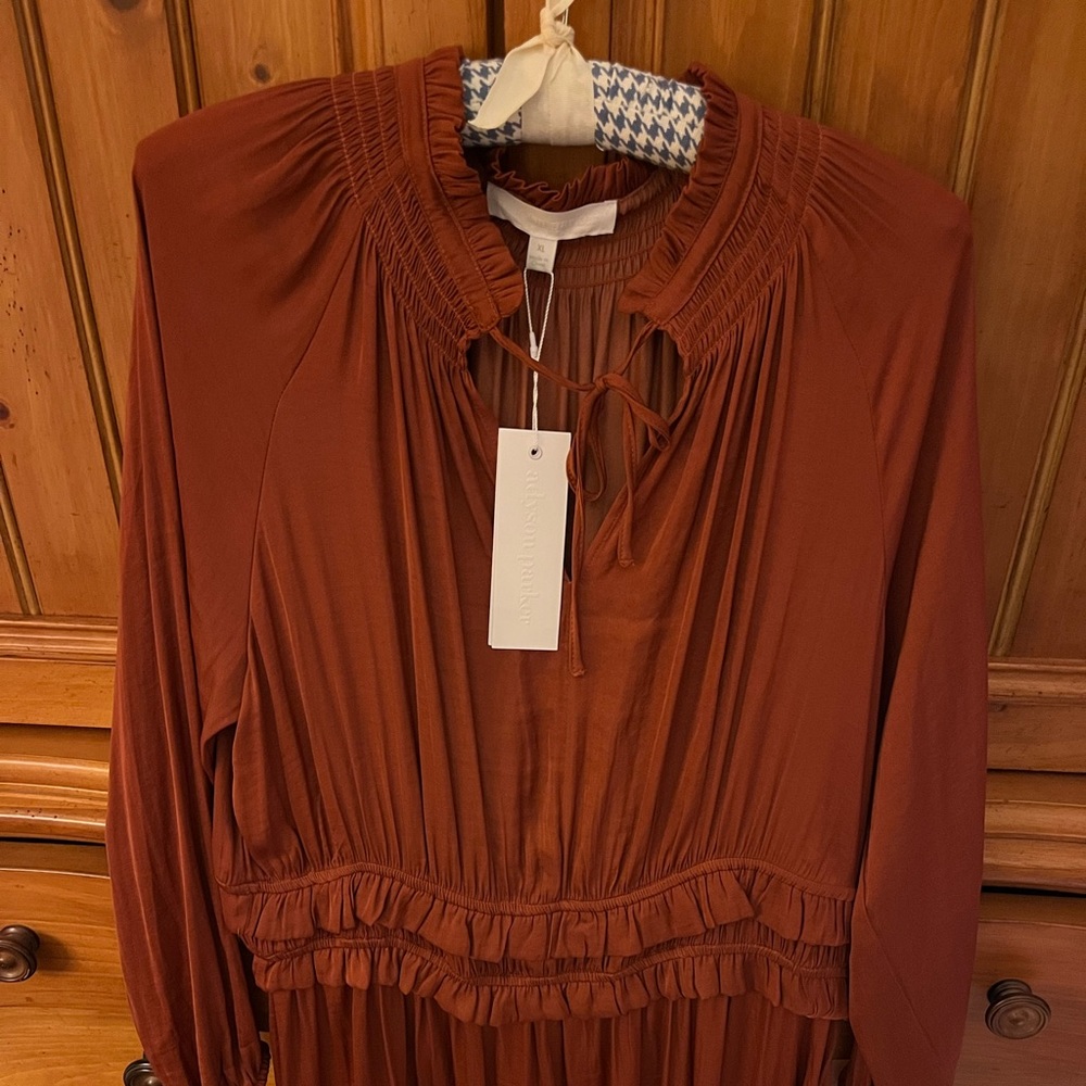 NWT Adyson Parker rust colored midi length dress - Picture 3 of 3